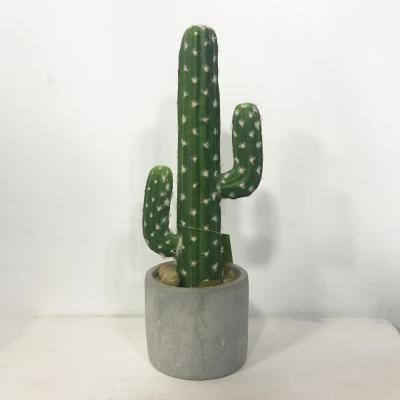 China Plant Durable Popular Artificial Decorative Desert Cactus Design Fake Cactus Plant for sale