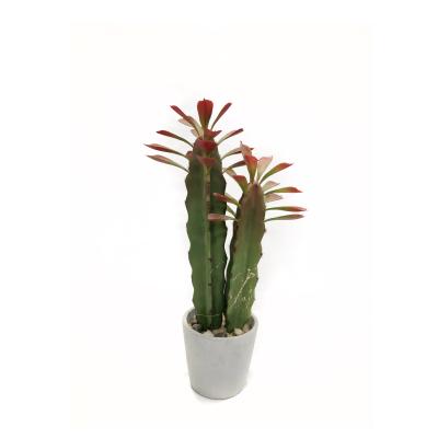 China High Simulation Cactus Artificial Succulent Cactus Potted Plants Drop Planter Cactus Ball for sale