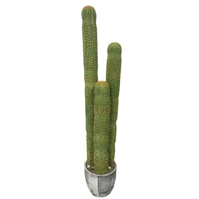 China Hot Sale Large Artificial Fake Cactus Plant Indoor Desert Look Decorative Cactus For Decoration for sale