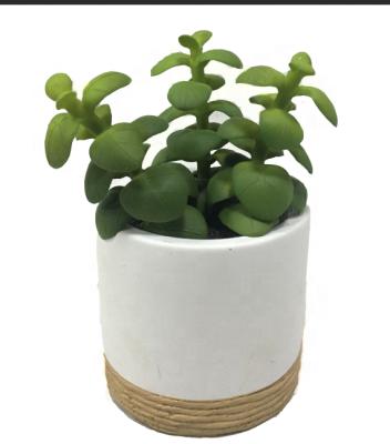 China Mini Modern Design Round Artificial Eco-friendly Mini Succulent Plant in Round Ceramic Pot, 5.2 inch for sale