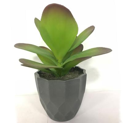 China Gray Potted Artificial Succulent Plants durable, fake small succulent on sale for sale