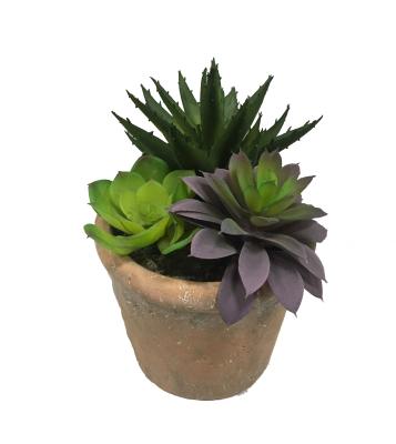 China High Eco - Friendly Simulation Artificial Fake Succulent Plants With Brown Pots For Garden Decoration for sale