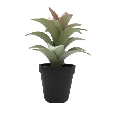 China Small Modern Eco-friendly Plastic Potted Modern Artificial Ornamental Bamboo Plants Potted For Home Decor for sale