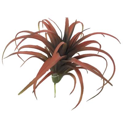 China High Simulation Horticulture Artificial Tillandsia 9 Type Artificial Air Plants For Sale for sale