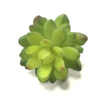 China Eco-friendly Plant Wholesale Artificial Succulents Individual Plant For Indoor And Outdoor Decoration for sale