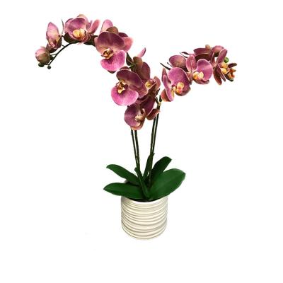 China Decoration Indoor Best Selling Artificial Silk Flower Butterfly Orchid Orchid Plants Artificial Flower Real Touch for sale