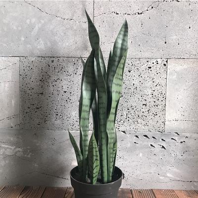 China Interior & Wholesale Cheap Artificial Orchid Decoration High Imitation Sansevieria Trifasciata Prain Indoor&Outdoor Factory Direct Outdoor Decorative for sale