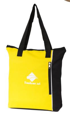 China 600D polyester shopping bags with handles for promotion-HAS14062 for sale