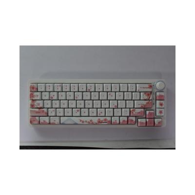 China Anti-ghosting Lead Industry Products Best Selling Industry Standard 68 Keys Plastic ABS PC Laptop Keyboard for sale