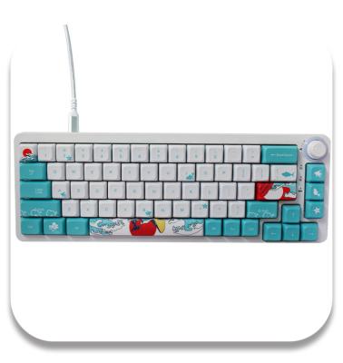 China 2022 China Supply Professional Anti-ghosting Customized Keyboard Fine Texture 68 Keys Keyboard Kit Price for sale