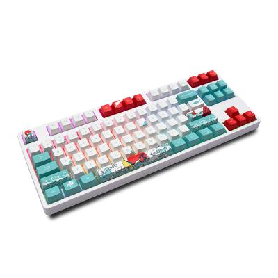 China Anti-ghosting 87 Key Gaming Mechanical Keyboard RGB Led Rainbow Backlit Wired Keyboard with Red Switches for Windows Gaming PC for sale