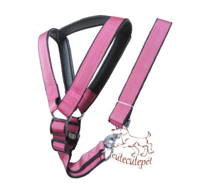 China popular nylon dog harness with several colors for choice for sale