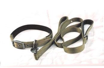 China Nylon dog leash with good material and cheap price for sale