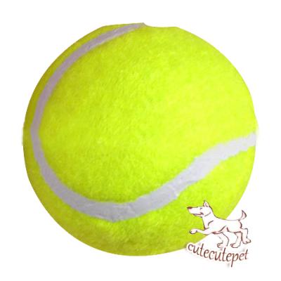 China Tennis ball for dog toys, training tool with good material for sale