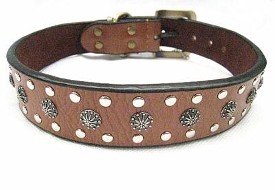 China Fashion big leather dog collar for big dogs big discount with more quantities for sale