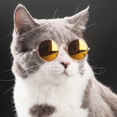 China Round Cat Sunglasses Reflection Eye Vintage New Pet Sunglasses Pet Products Lovely Wear Glasses For Small Dog Cat Pet Photos Props Accessories for sale