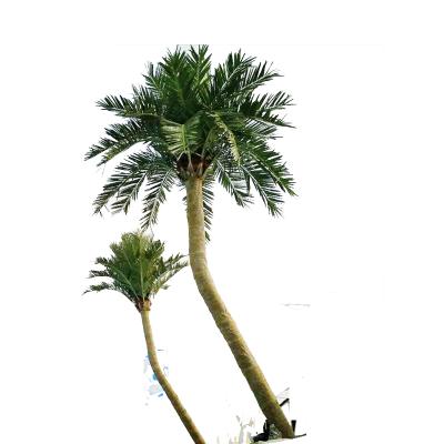 China Artistic Special Design Landscape Decorative Plastic Artificial Curved Coconut Palm Trees On Sale for sale