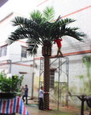 China China Supplier High Decorative Artificial Evergreen Date Palm Phoenix Imitation Dactylifera Tree For Sale for sale