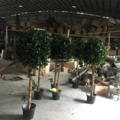 China Hotel or Home Decoration High Quality Bay Tree/Soft Wooden Fake Laurel Trees Fake Tree Decoration/Wholesale Artificial Plants for Outdoor for sale