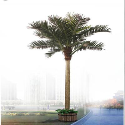 China Wholesale Artificial Washington Palm Fake Tree Place Washingtonia Coconut Tree for sale