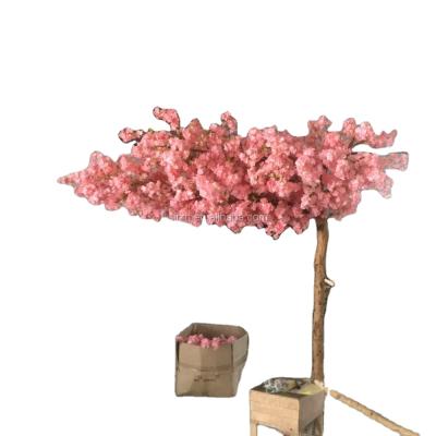 China Artificial Pink Indoor Cherry Blossom Japan Cherry Blossom Tree Wedding Or Wedding Cherry Blossom Tree Home Decoration for sale