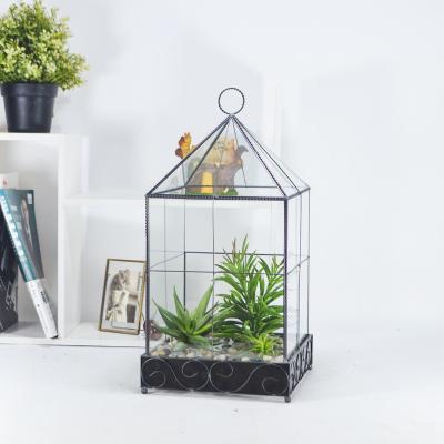 China Dustproof Microlandscape of Plants Potted Plant Glass Container Glass Decoration for sale