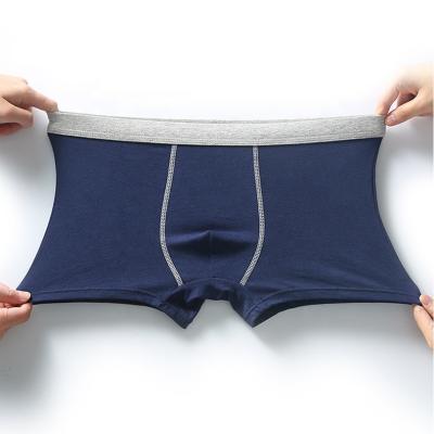 China L-5XL Mens Underwear Boxer Shorts Men Boys Wholesale Antibacterial Inner Cotton Elastic Band Seamless Briefs for sale