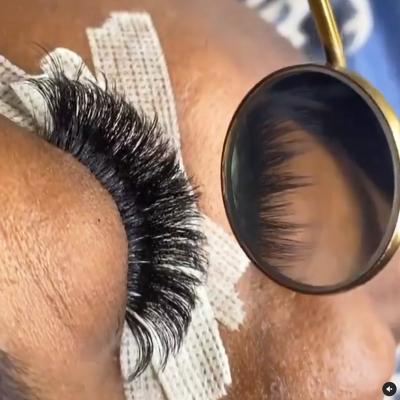 China Long Volume Fan Eyelash Extension Natural Russian Easy Fan Lashes Different Quick Blooming Lashes for sale