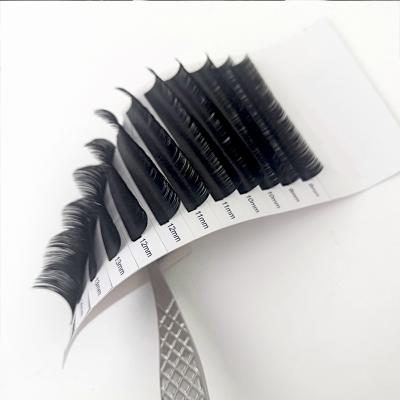 China Long 0.12 0.15 0.20 Super Soft Natural Matte Ellipse Flat Eyelash Extensions Black Double Tips for sale