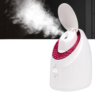 China Mini Nano Ionic Facial Steam Machine Lighting Electric Face Steaming Machine Jet Steamer Hot Face for sale