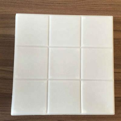 China Building Brick Molds (GRZ303005) /insulation Brick Interlock Mold for sale