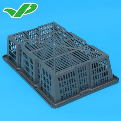 China High Quality Plastic Seafood Loading Crates With Lid For Loading Seafood for sale