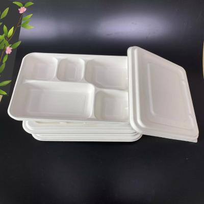 China Recycle Popular Styrofoam Storage Meal Box Biodegradable Outdoor Fast Food for sale