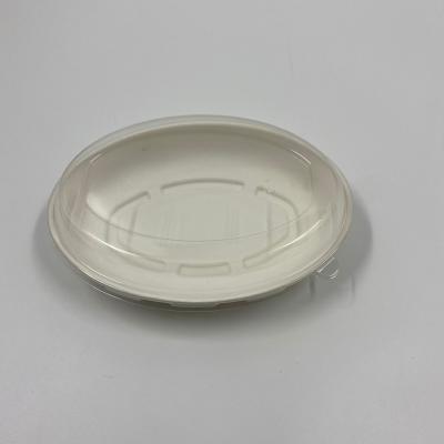 China Wholesale Disposable Clear Disposable Plastic Sushi Tray With Lid From Togo Box Sushi Tray Box for sale