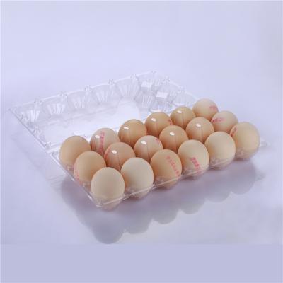 China Cheap Home Kitchen Eggs 18 Holes Disposable Biodegradable Chicken Blister Chicken Blister Quail Egg Plastic Trays for sale