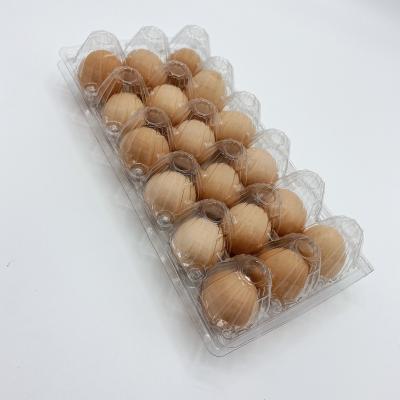 China Eco Friendly Plastic Restaurant Eggs Supermarket Pet Clear Chicken Tray For Eggs for sale