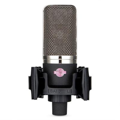 China BAIFEILI Desktop Bare Condenser Microphone Professional Studio Recording Mic for sale