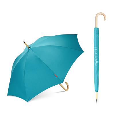 China New Design 23 Inch Wooden Handle Multicolor Carved Straight Umbrella for sale