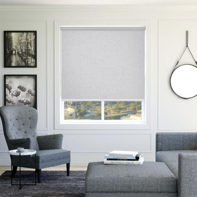 China Roller Blinds Remote Control Motorized Shades Smart Blackout Automatic Motorized Roller Blinds for sale