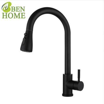 China Thermostatic Faucets Free Print Logo 304 Stainless Steel Pull Out Kitchen Faucet And Luxury Kitchen Faucet With Kitchen Mixer Tap Pull Out for sale