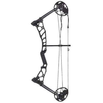 China 14-40 Pound Compound Bow Kid Shooting Compound Bow Outdoor Hunting Practice Archery for sale