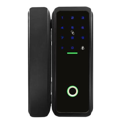 China Remote Passcode Change You IT Wifi Lock Door Biometric Fingerprint Code Electronic Smart Door Lock for sale