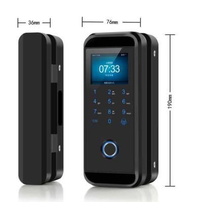 China Waterproof / Weatherproof IT K328 Electronic Fingerprint Digital Smart Door Lock for Glass Framed or Frameless Sliding Smart Deadbolt Smart Lock for sale