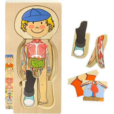 China Cartoon Toy FUN GAME TOYS Human Body Wooden Puzzle for Kids and Toddlers 29 Piece Boys Skeleton Anatomy Playset Toy for Ages 3+ for sale