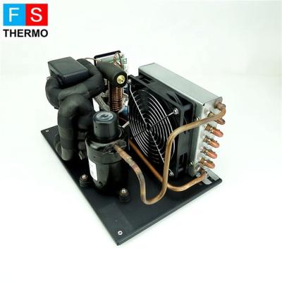 China Refrigeration Parts DC 12v 24v 48v Mini Fridge Cold Water Chiller Unit For Bio Tech Cooling for sale