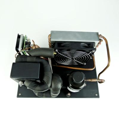 China DC 24v 48v Mini Refrigeration Parts R290 Micro Unit Refrigeration Cooling Refrigerator For Military Corps Cooling System for sale