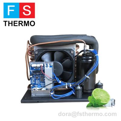 China Refrigeration Parts 12v 24v Mini Compressor Compact Refrigeration Unit For Portable 12v Air Conditioner for sale