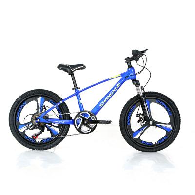 China Factory Direct Supply Magnesium Alloy Steel New Customized Color Speed ​​Bike Colorful Bicycle For Boys Girls Mountain Bike for sale