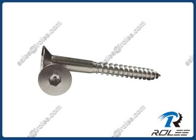 China 304/316 Stainless Steel Hex Drive Timber Wood Screw en venta