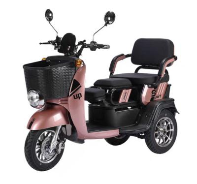 China 2 Wheels Unisex Suit Elderly Thtee Loading Safe Stable Cheaper 2 People Suit 500w Tricycle For Parents for sale